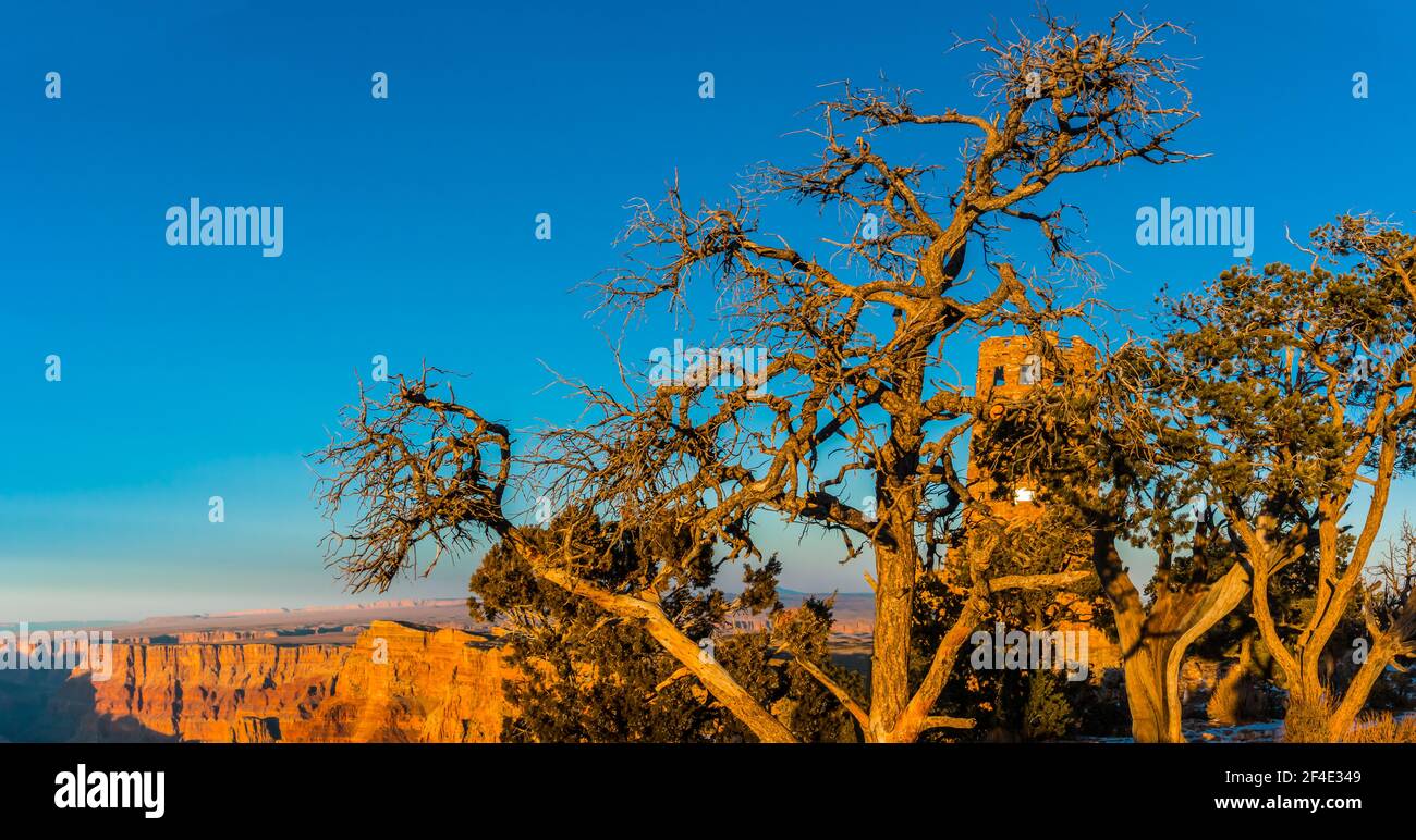 The Desert Watchtower Sits on the Edge of The Grand Canyon, Grand Canyon National Park, Arizona, USA Stock Photo