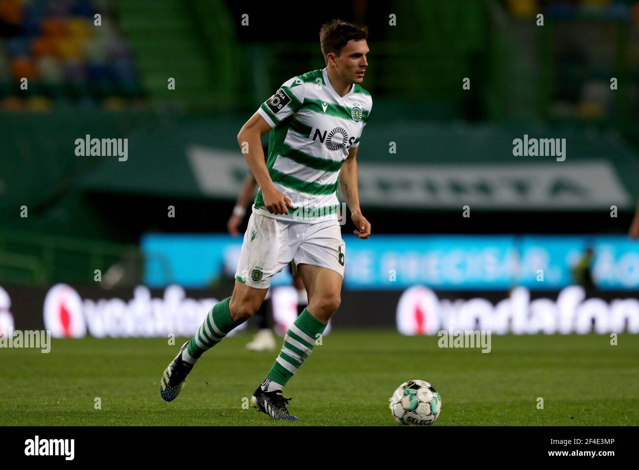 Joao Palhinha High Resolution Stock Photography And Images Alamy