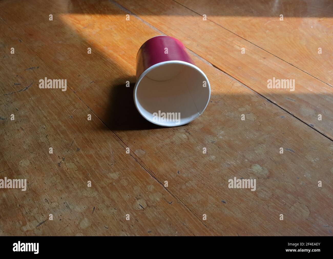 Selective focus of empty paper cup coated with polyethylene laid on wooden table under sunlight Stock Photo