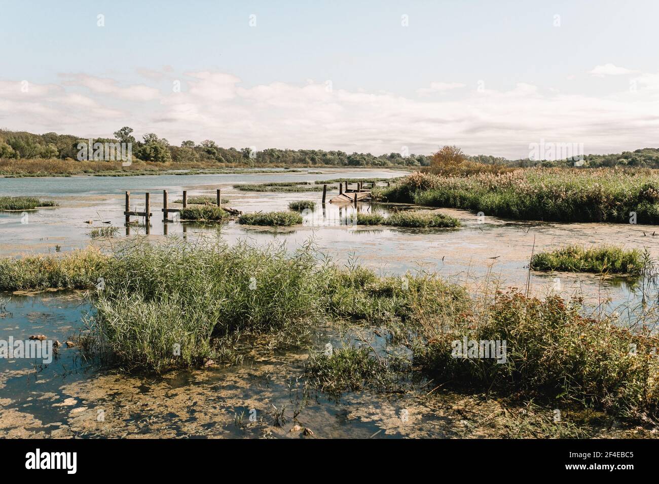 Marsh Rotten Rotten Boardwalk High Resolution Stock Photography and Images - Alamy