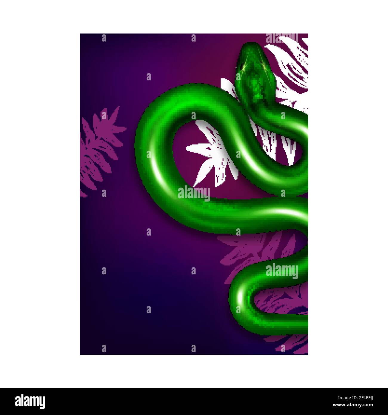 Snakes Exotic Animals Show Advertise Poster Vector Stock Vector Image