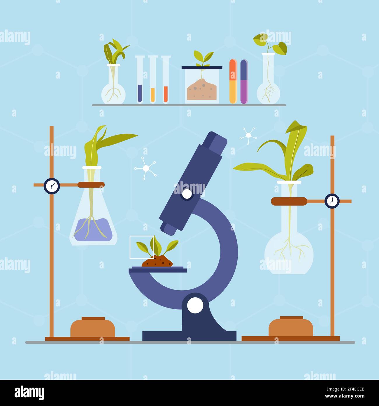 Flat biotechnology concept Vector illustration Stock Vector Image & Art ...