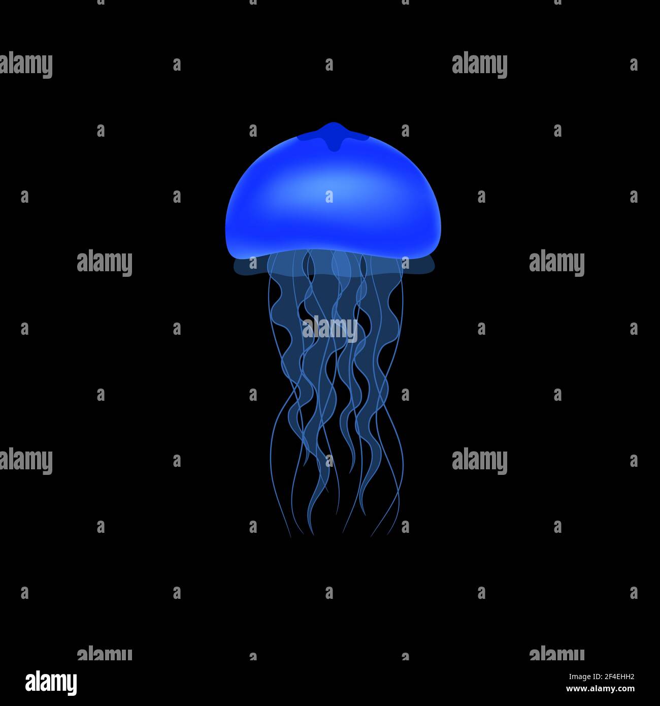Blue jellyfish on a black background. Vector illustration. Stock Vector