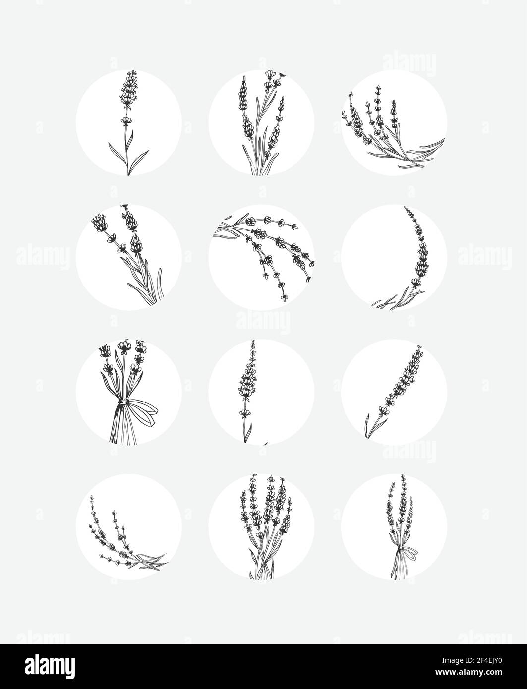 Social media story highlights covers. Abstract flowers and leaves Stock