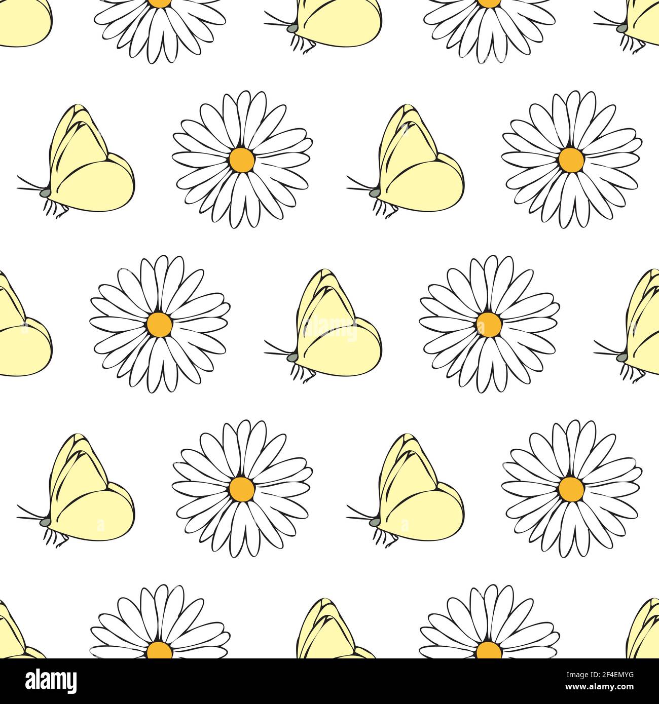 Vector white background daisy flowers and butterfly seamless pattern ...