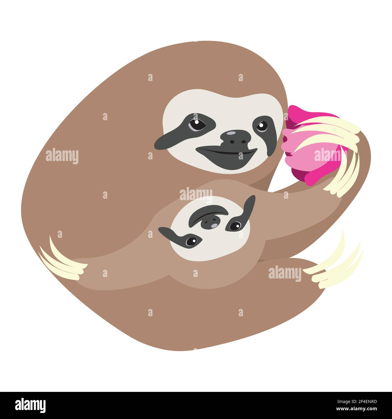 Sloth Mother And Baby High Resolution Stock Photography and Images - Alamy