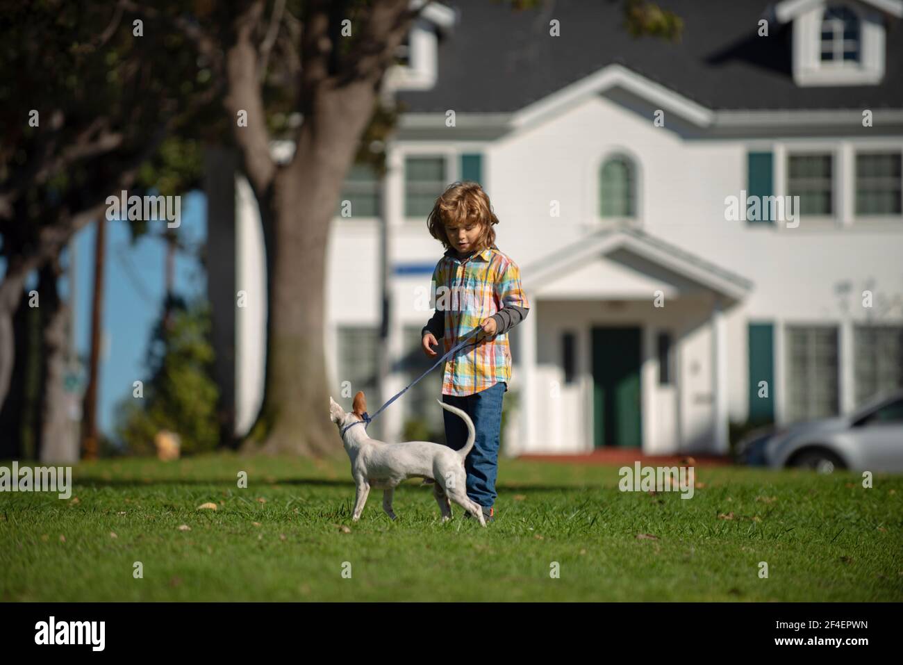 Dog Runs From Kid Playing Chase Game At Summer Lawn Happy Puppy Stock Photo Alamy