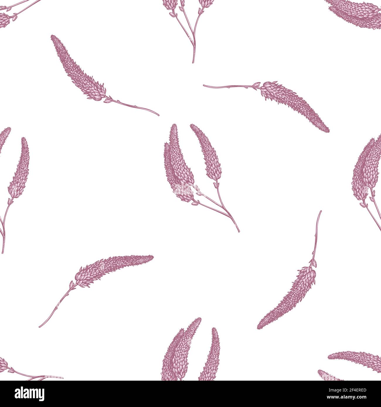 Seamless pattern with hand drawn pastel veronica Stock Vector Image ...