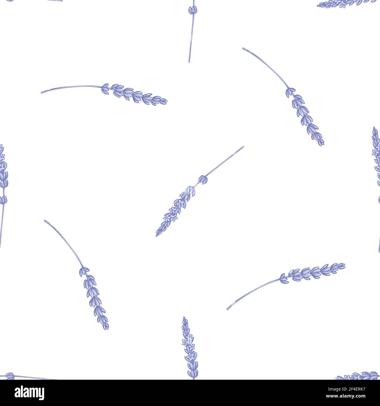 Seamless pattern with hand drawn pastel lavender Stock Vector Image ...