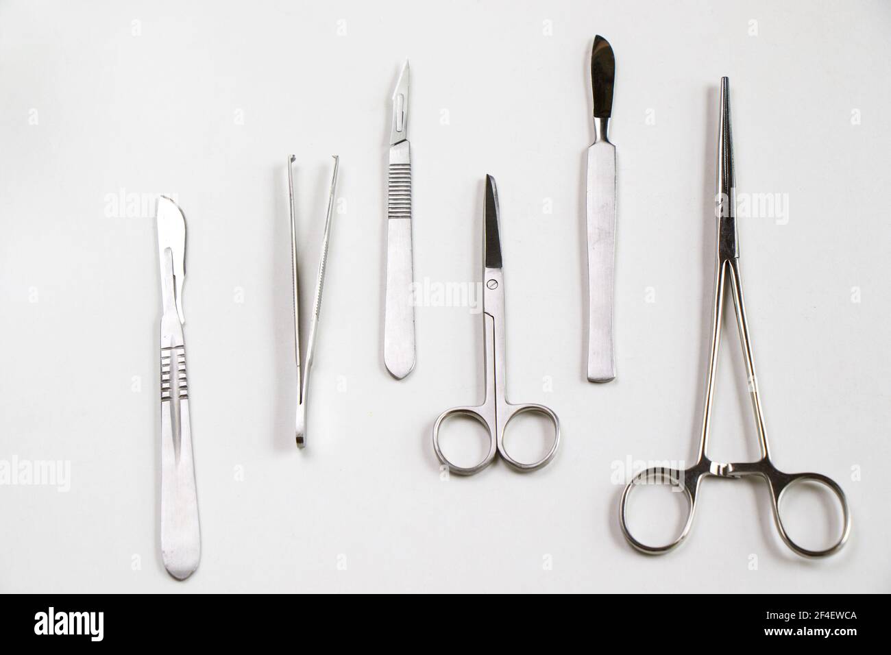 Dissection kit hires stock photography and images Alamy