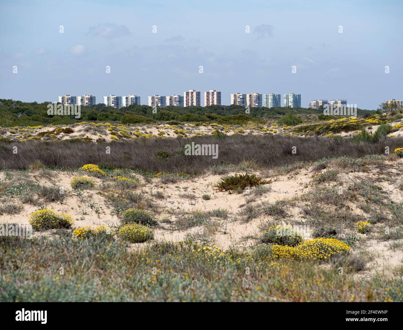 Construction of housing between the dunes of the Albufera de Valencia Natural Park. Stock Photo
