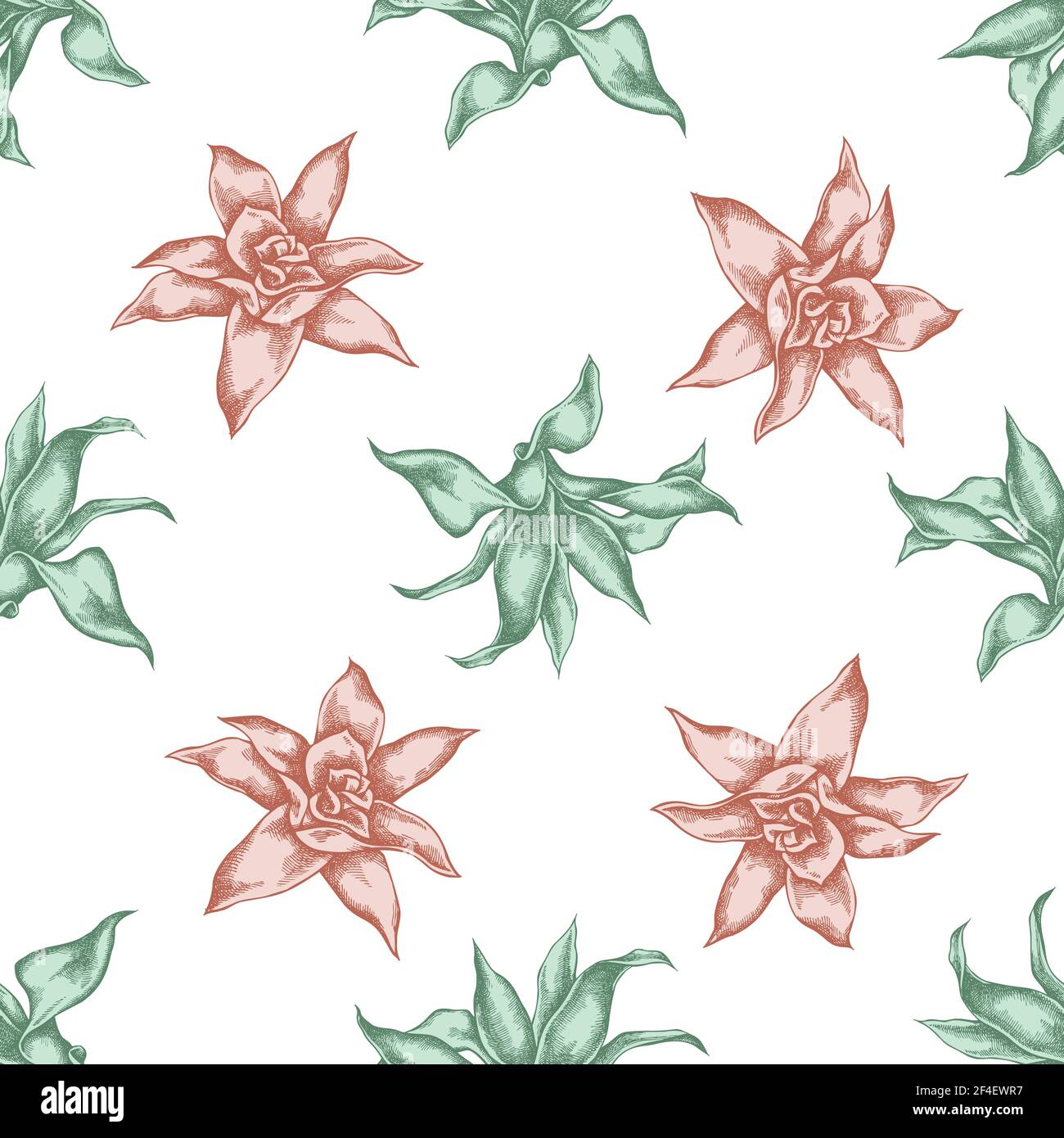 Seamless pattern with hand drawn pastel guzmania Stock Vector