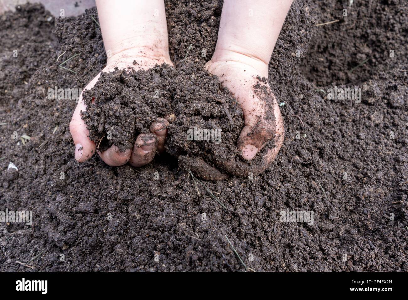 Close-up Soil in child hands holding Stock Photo