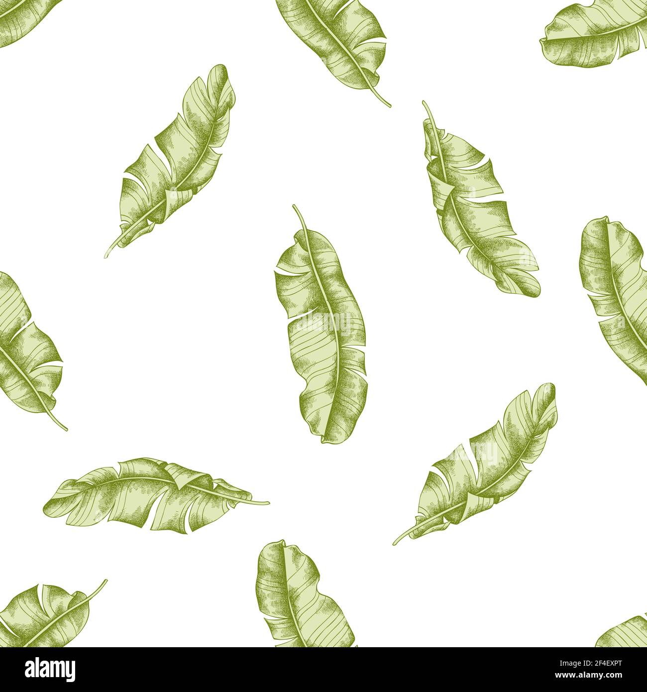 Seamless pattern with hand drawn pastel banana palm leaves Stock Vector ...