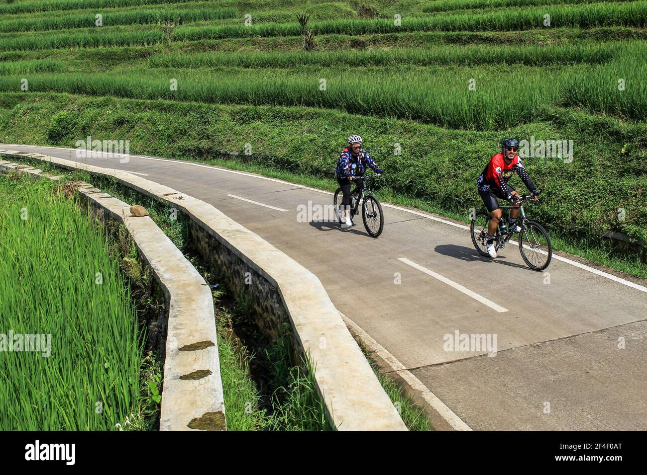 Cyclists racing through rice fields in Kadakajaya Village. In Indonesia ...