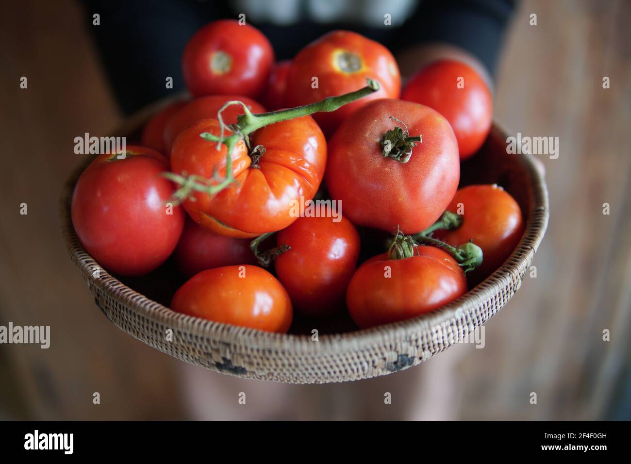 hand holding fresh raw red tomatoes in wicker basket Stock Photo - Alamy