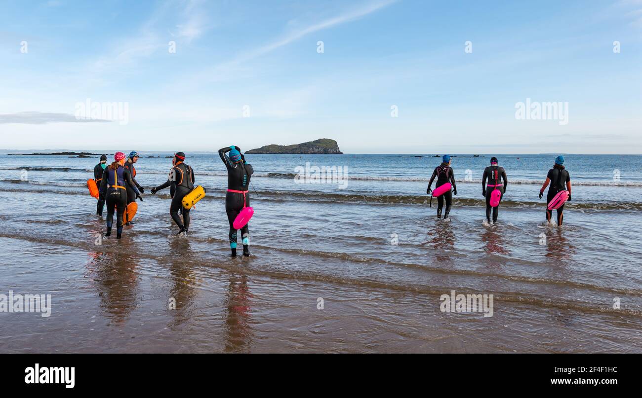 North Berwick, East Lothian, Scotland, United Kingdom, 21st March 2021. UK Weather: wild swimmers go open water swimming in the Firth of Forth. Wild swimming has become a popular sport for locals in the seaside town. These women wearing wetsuits and floats going into the water are some of the regulars who participate in the sport every week throughout the year in West Bay Stock Photo