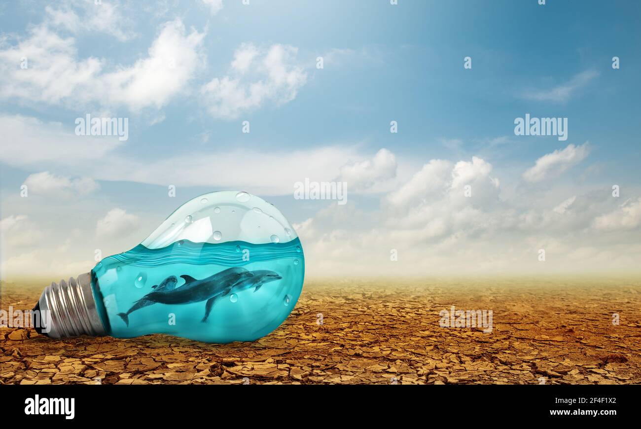 Light bulb with Dolphins swimming inside oncracked earth. Saving environment and natural conservation concept. Stock Photo