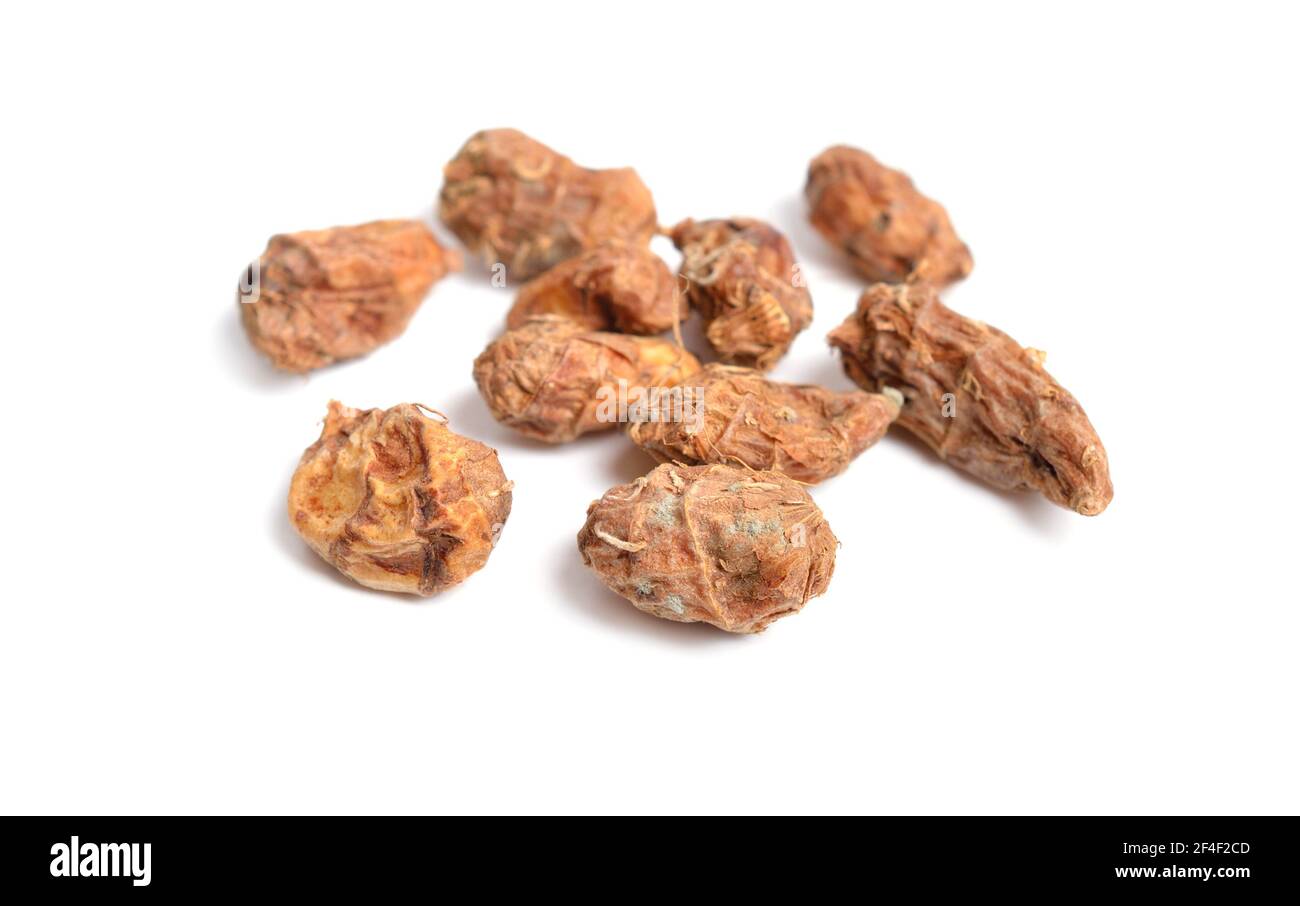 Dried tubers Cyperus esculentus also called chufa, tiger nut, atadwe, yellow nutsedge, and earth almond. Isolated Stock Photo