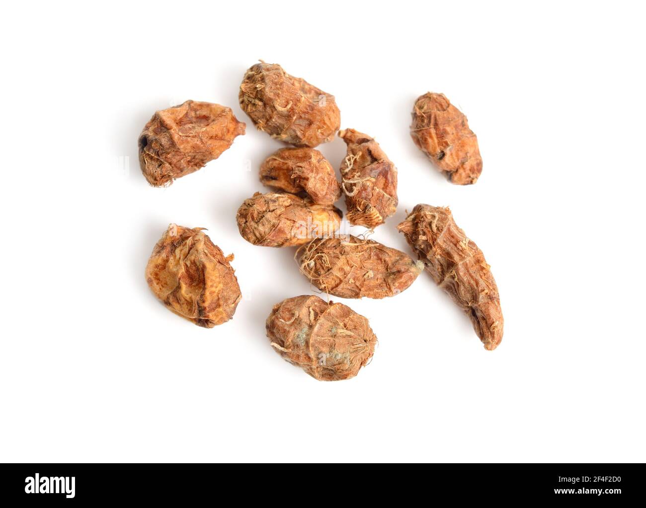 Dried tubers Cyperus esculentus also called chufa, tiger nut, atadwe, yellow nutsedge, and earth almond. Isolated Stock Photo