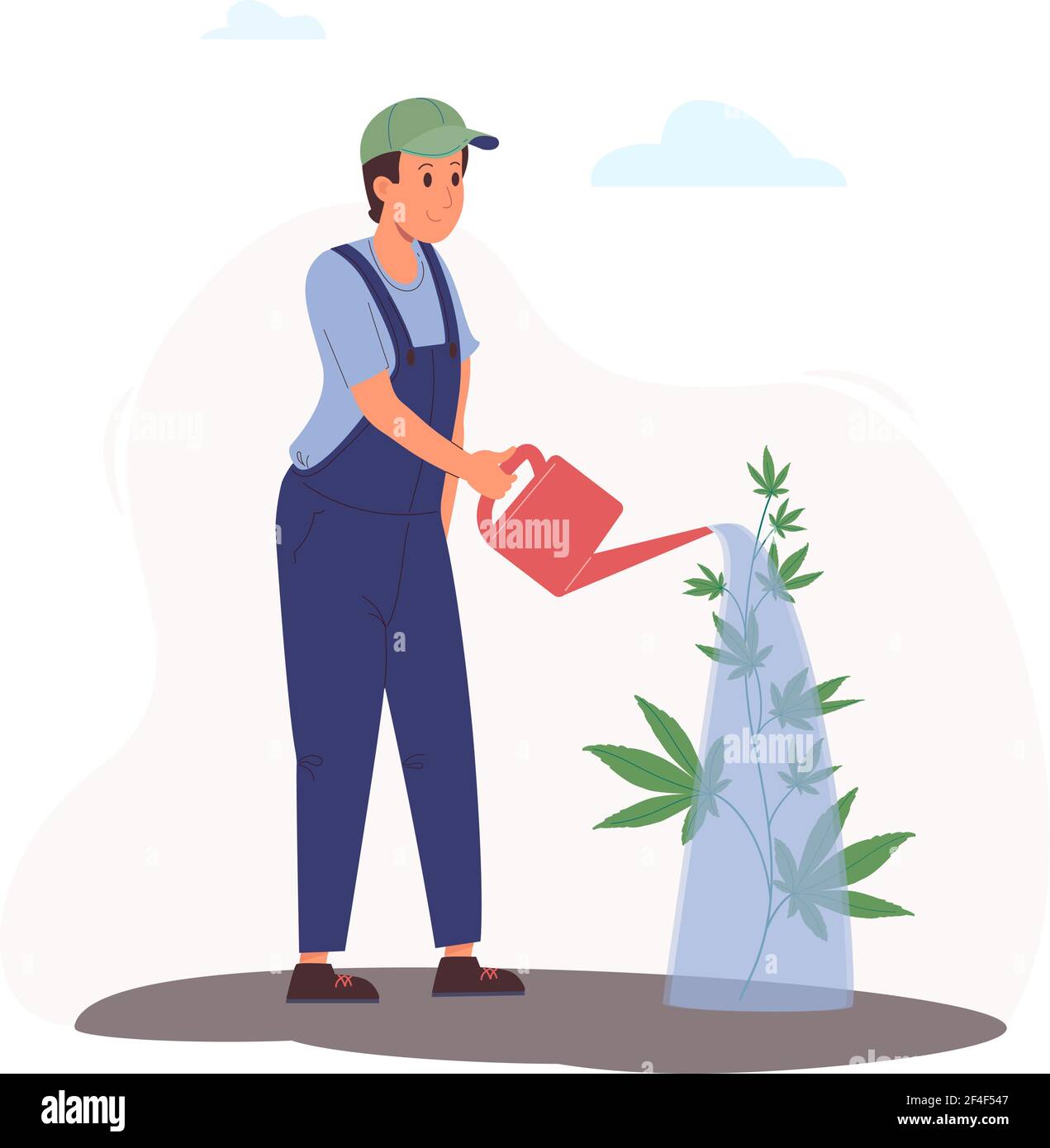 Cbd hemp growing on Stock Vector Images Alamy