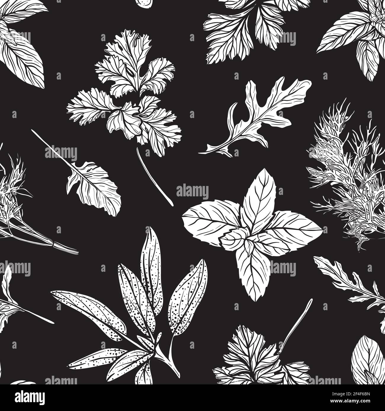 Wild grass seamless pattern. Field herbs and garden medical plants, useful seasonings. Hand-drawn vector illustration Stock Vector