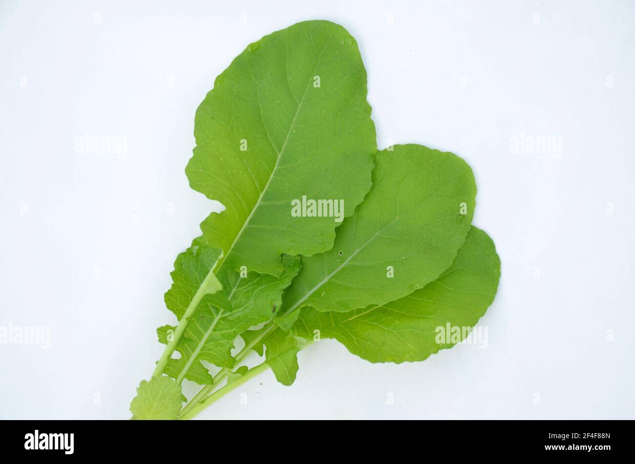 Green ripe spinach leaves isolated on white background Stock Photo - Alamy