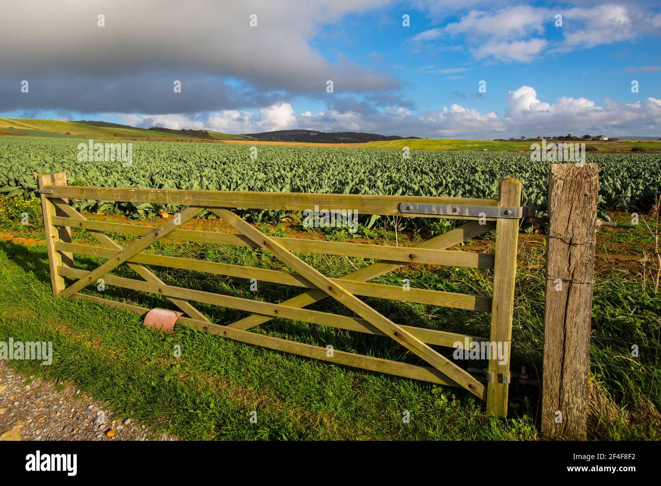 Compton farm bay isle of wight hires stock photography and images Alamy