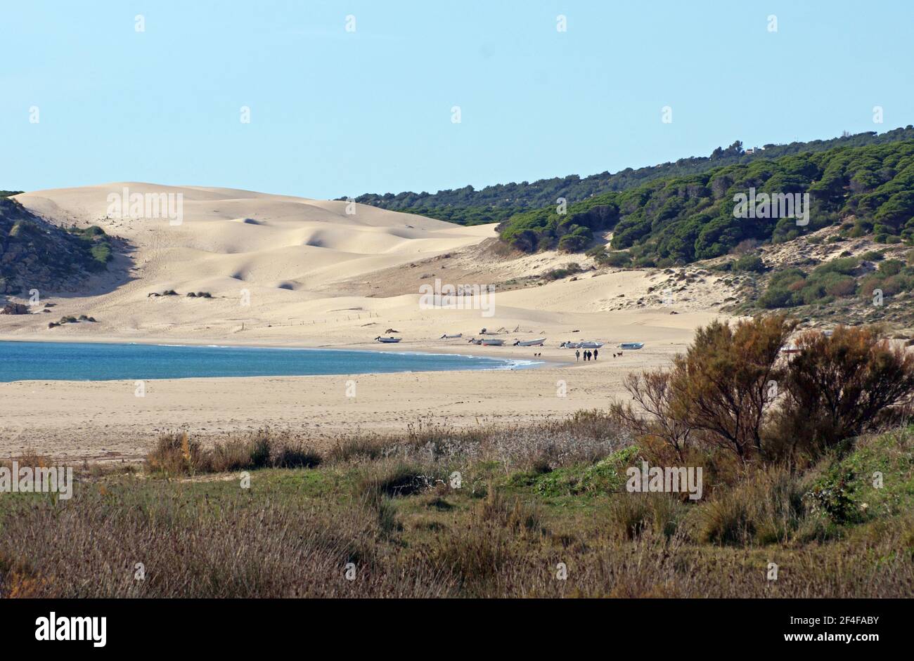 Spain: The sand dunes at Bolonia (Dunas de Bolonia) Stock Photo