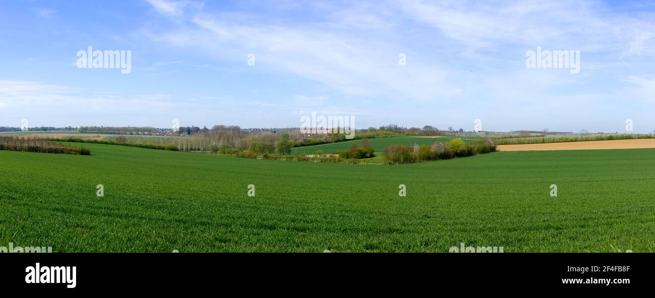 Panoramic landscape of the Belgian Haspengouw region in Limburg with farmland fields and fair weather (Borgloon, Belgium) Stock Photo