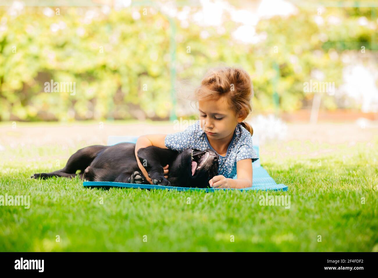 Girl play with adorable black labrador puppy Stock Photo