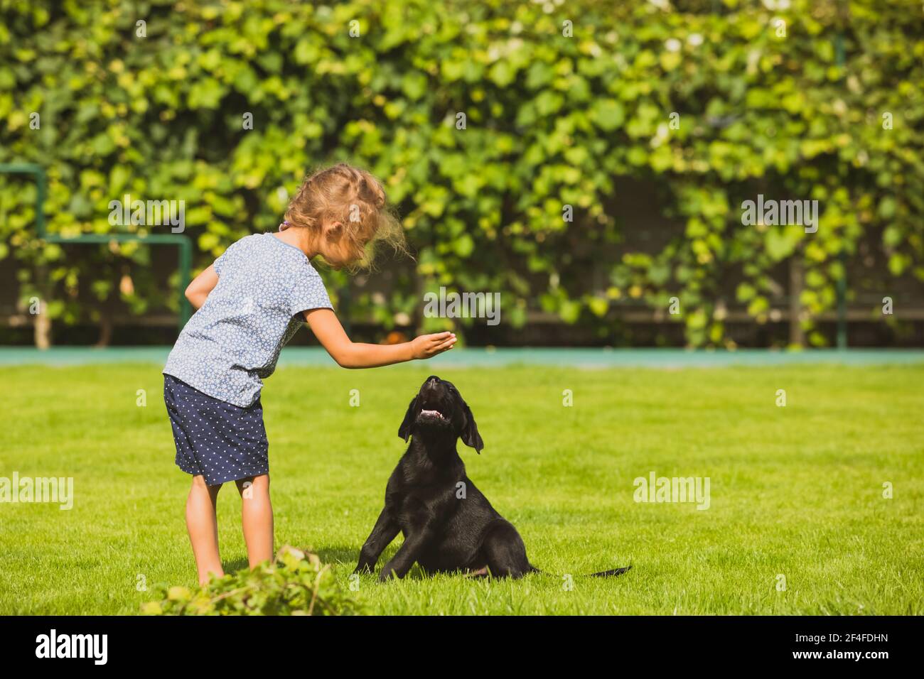 Barefoot girl play with adorable black labrador puppy Stock Photo