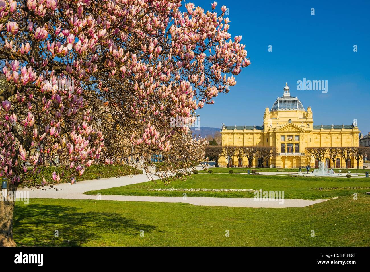 Colorful magnolia blossom and art pavilion in spring in Zagreb, Croatia Stock Photo