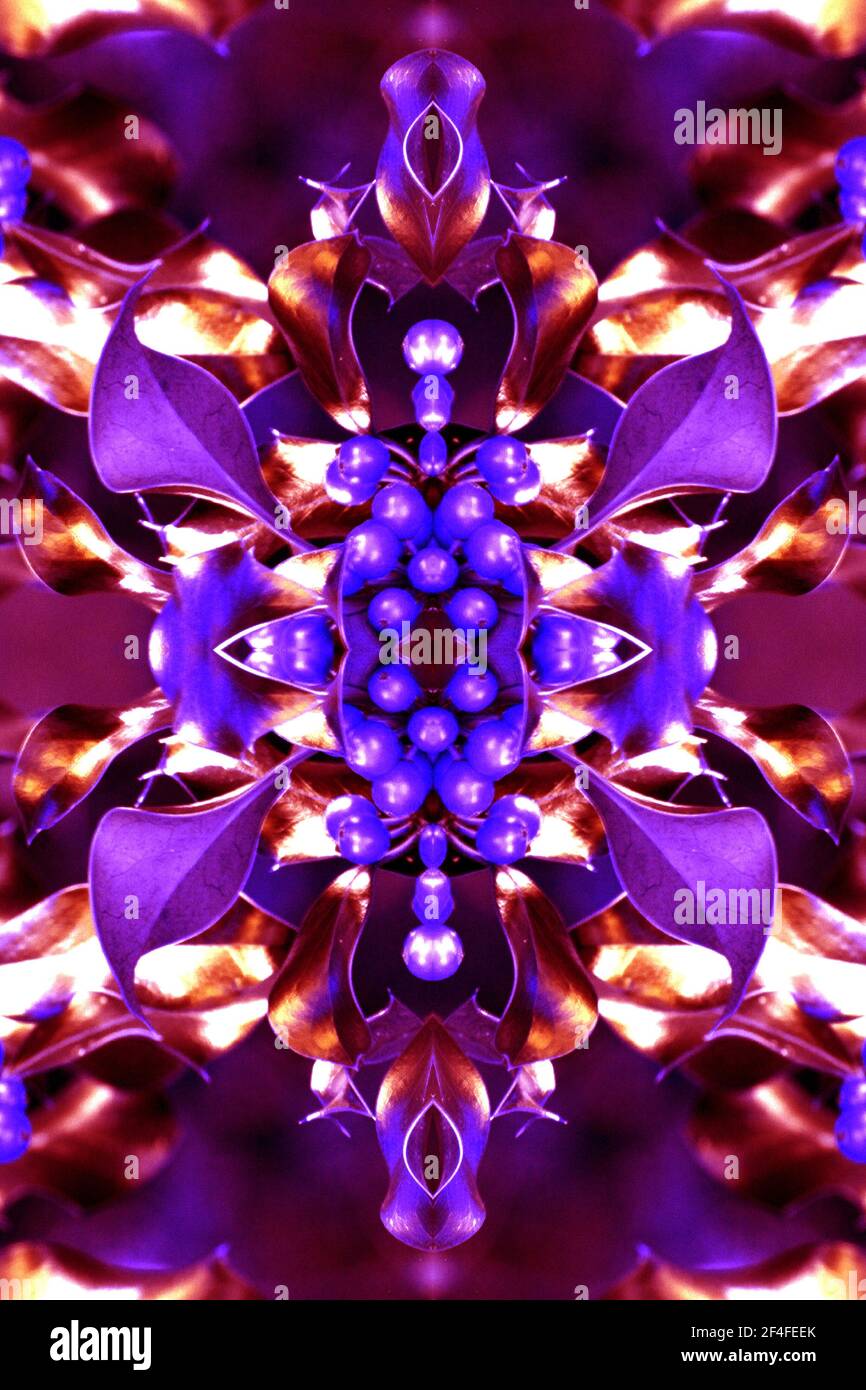 Longe De Sécurité Pour Pinpointer (détecteur De Métaux De Poche) - Accessoire Pratique Pour Ne Pas Le Perdre