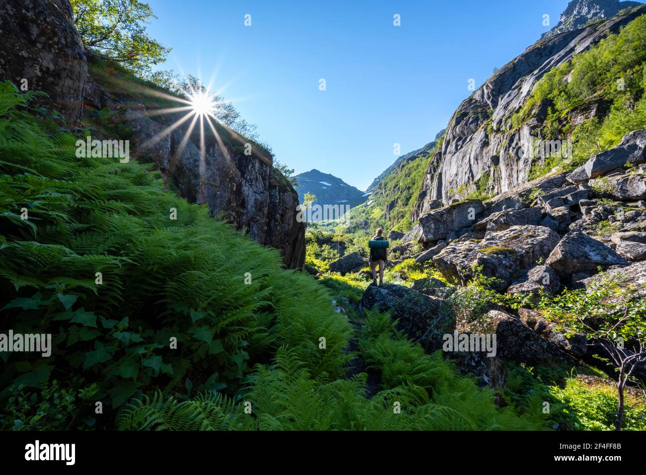 Young woman, hiker in the mountains, hiking to Trollfjord Hytta, at