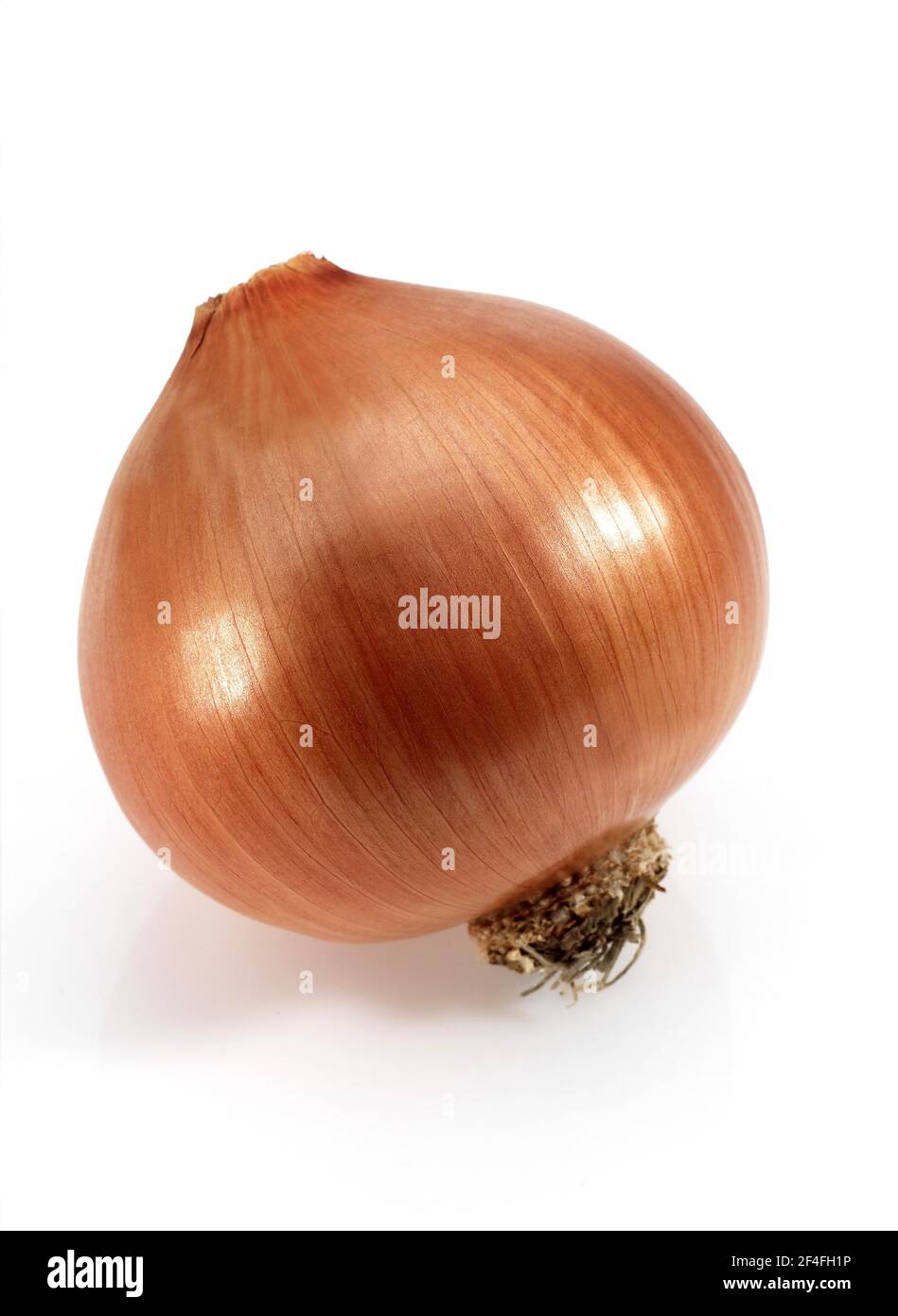 Onion family plants Cut Out Stock Images & Pictures Alamy