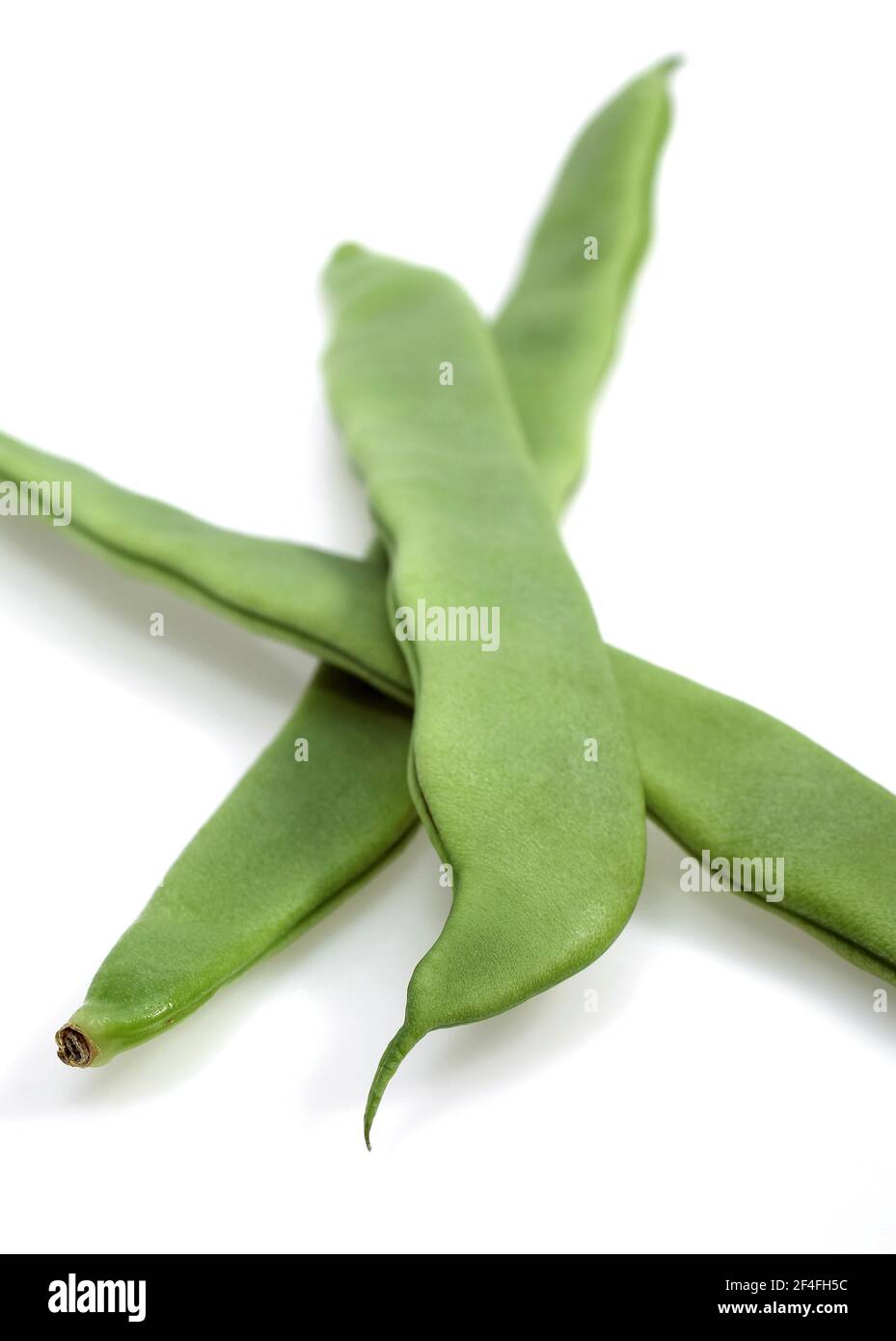 French Bean, Green Bean, Green Bean (phaseolus vulgaris), Butterfly