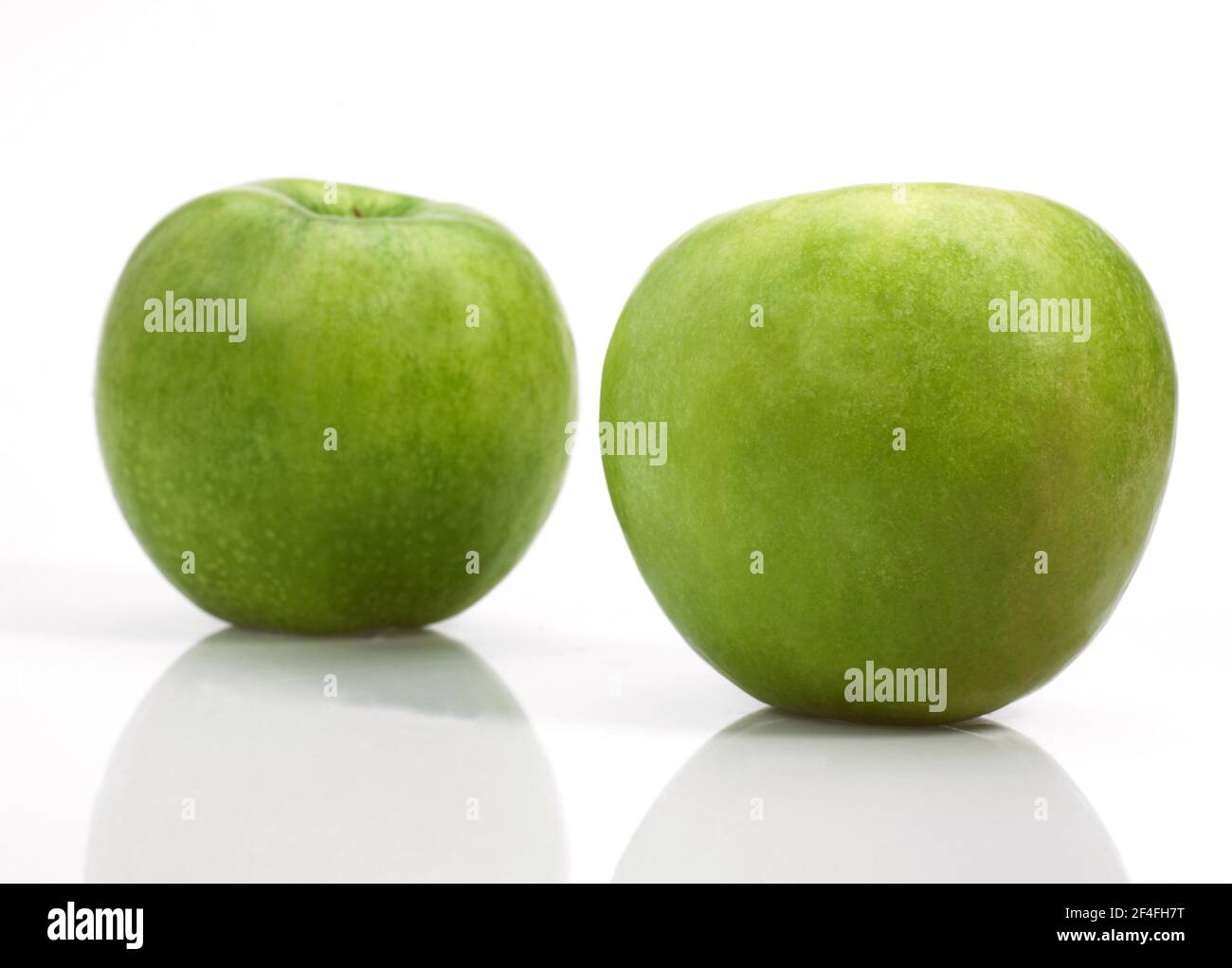 Malus domestica, cultivated apple, apple, rose family, granny smith