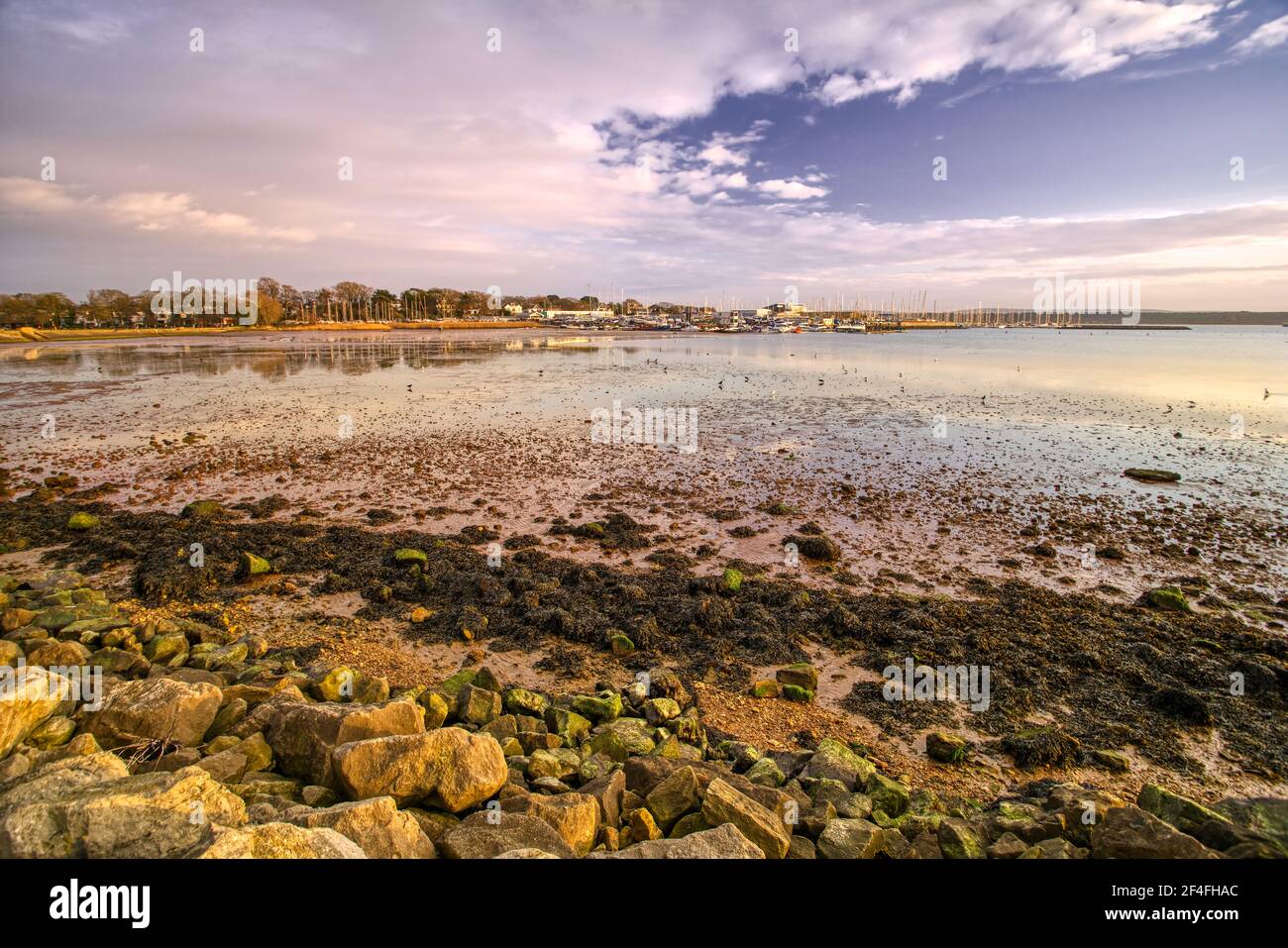 Mud Therapy, low tide at Whitecliff, Poole, Dorset Stock Photo