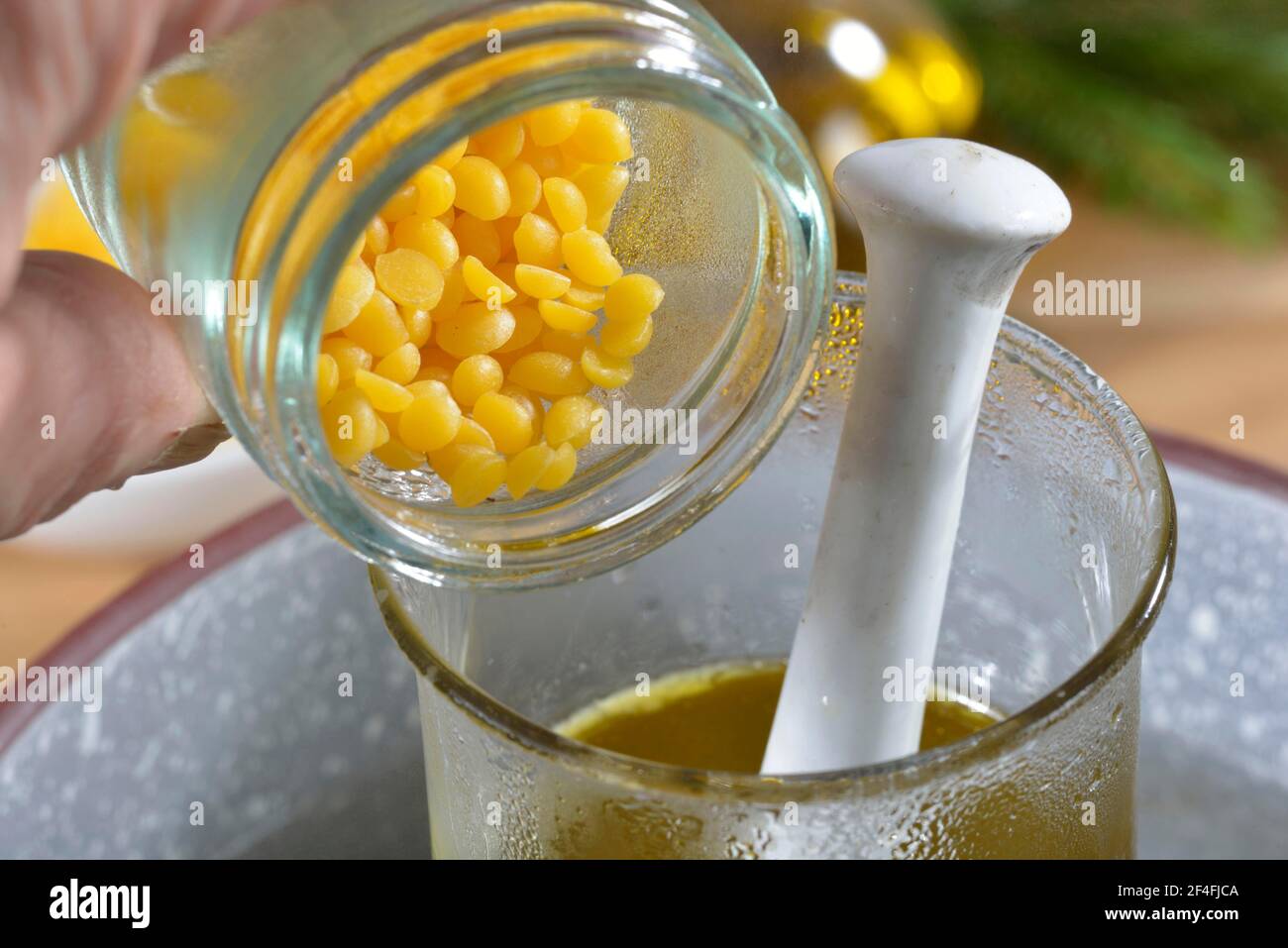 Production of spruce resin ointment, water bath (Picea abies) Stock Photo