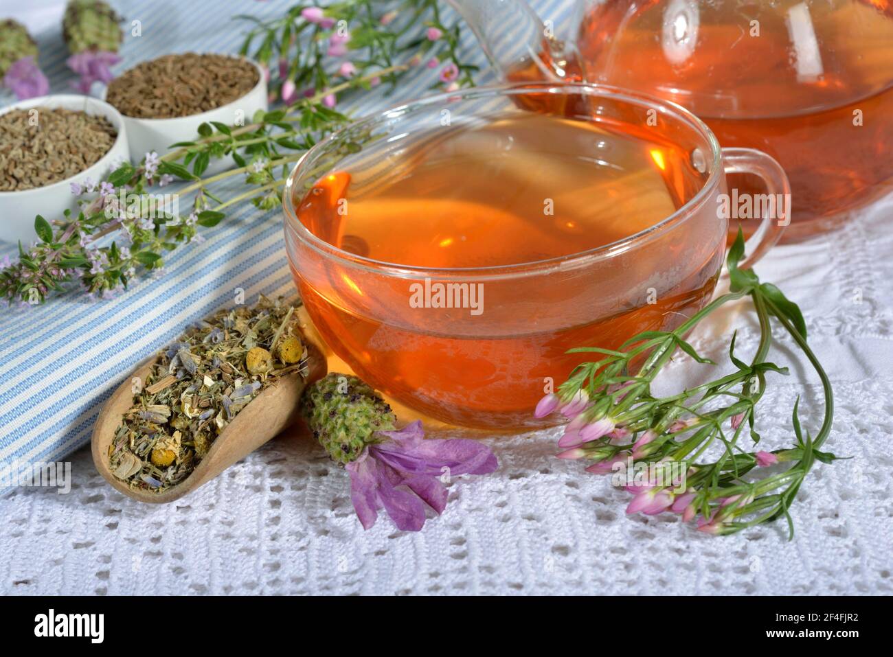 Stomach tea, Cnicus (Cnicus benedictus), Centaurium pulchellum