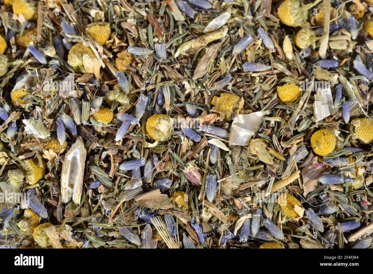 Stomach tea, Cnicus (Cnicus benedictus) centaury, chamomile, chamomile flowers, thyme leaves, fruits, Carawayaniseed, aniseed, lavender flowers Stock Photo