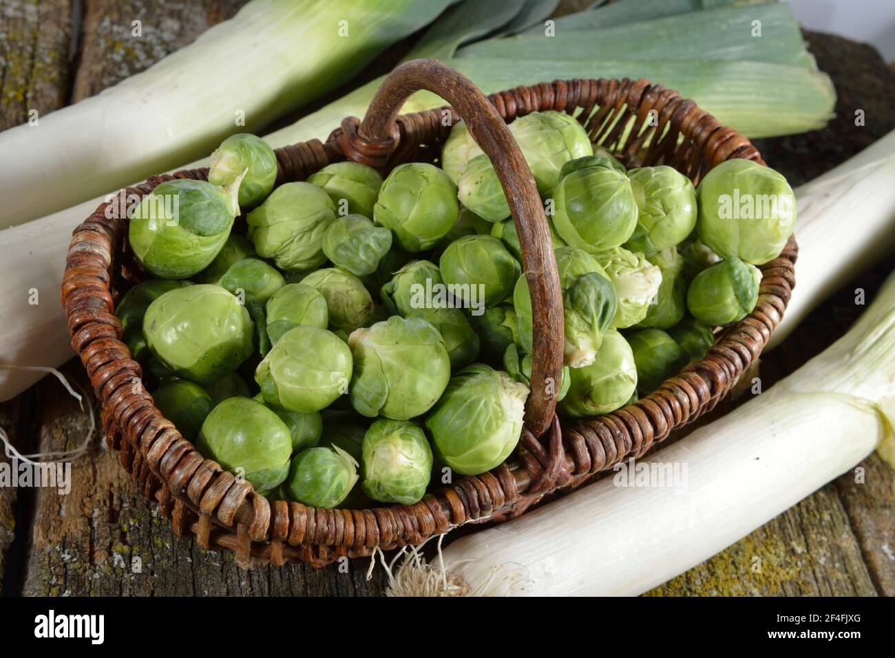 Brussels sprout (Brassica oleracea var. gemmifera), leek (Allium porrum) Stock Photo