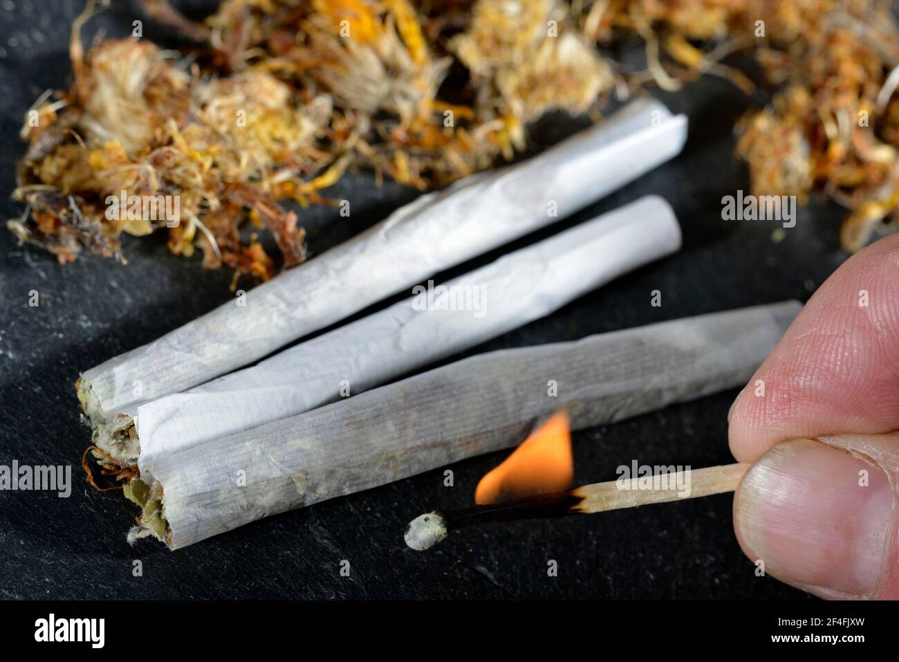 non tobacco smoking FDA: Cigarette of future could be non-addictive