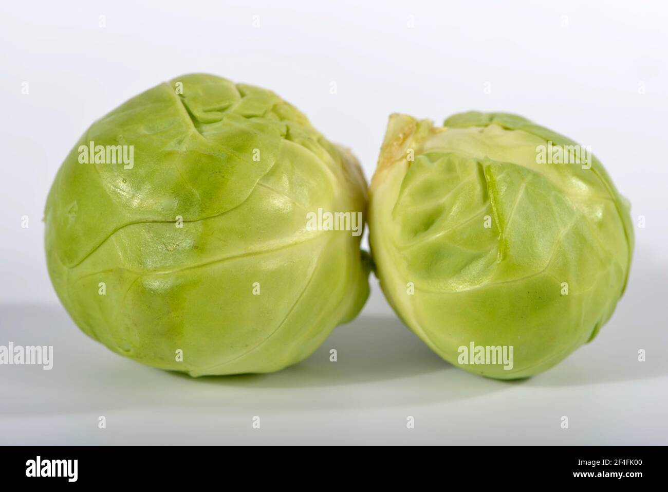 Brussels sprout (Brassica oleracea var. gemmifera Stock Photo Alamy