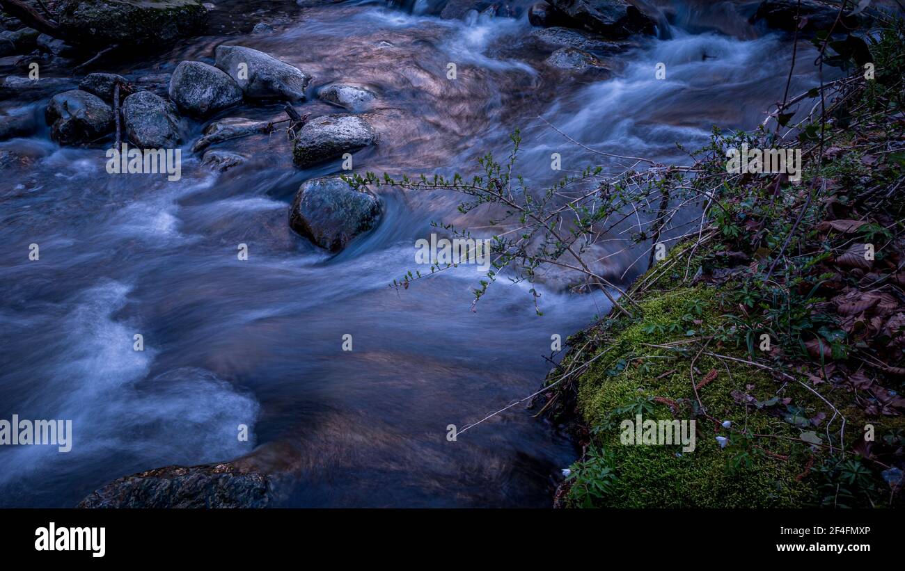 Water flowing over rocks. Beauty in nature. Long exposure. Lausanne ...