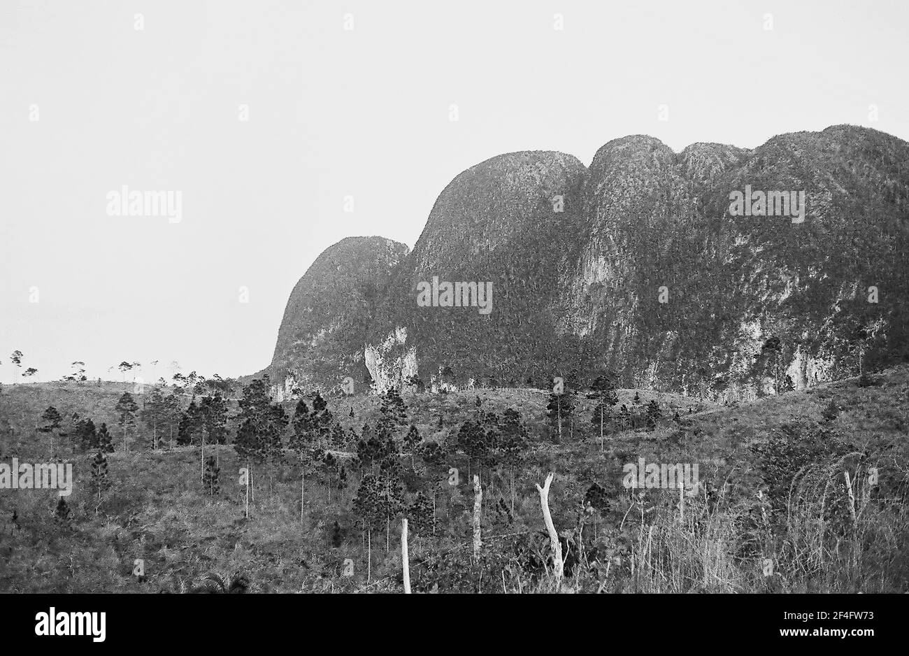 Mogotes, Pinar del Rio, Cuba, Pinar del Rio (Cuba : Province), 1964. From the Deena Stryker photographs collection. () Stock Photo