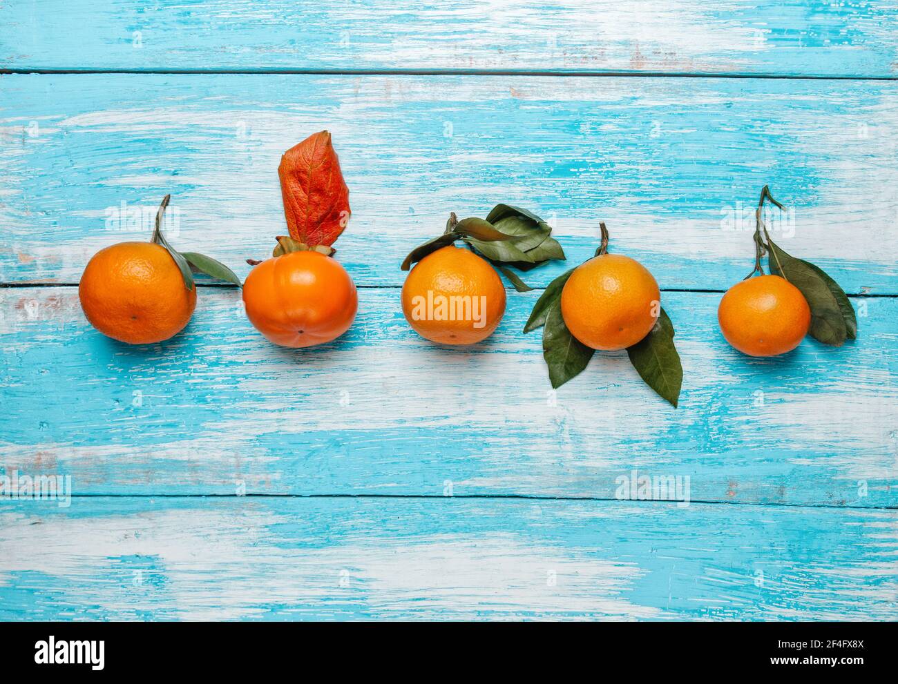 The concept of racial difference and tolerance. One persimmon and several tangerines lie in a row on a blue wooden table. Copy space. Stock Photo