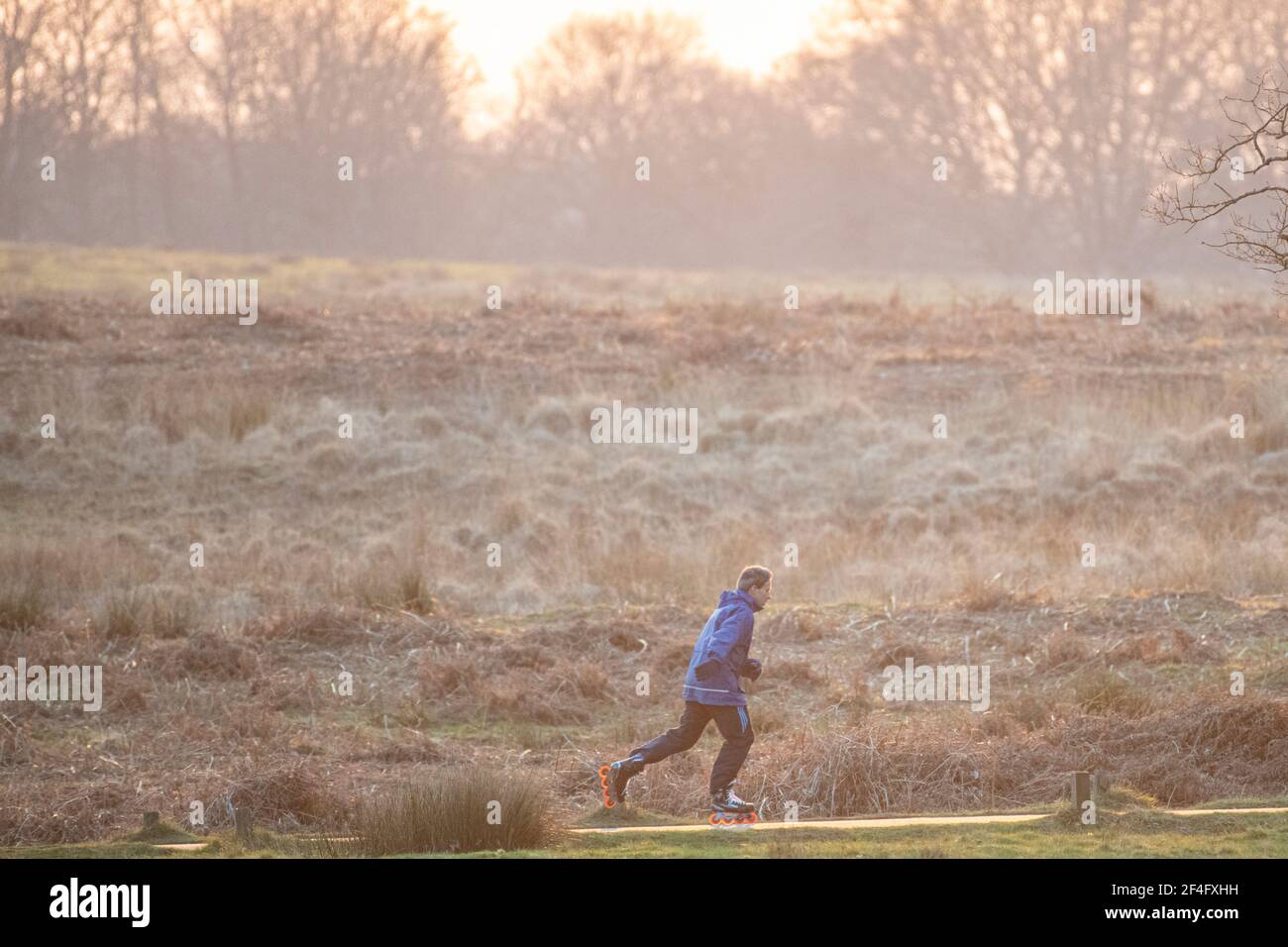 A roller blader in Richmond Park at dusk Stock Photo
