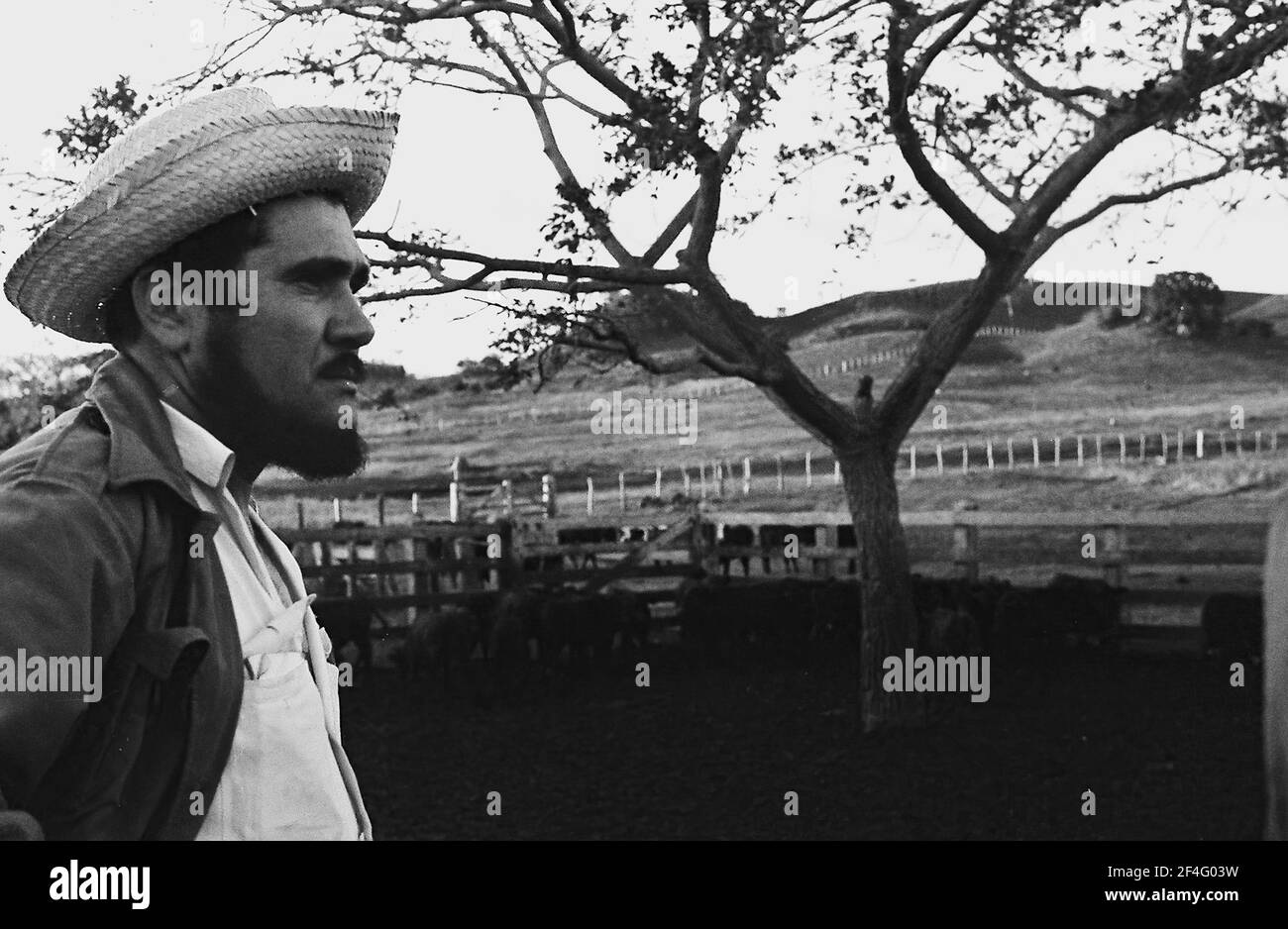Portrait of Comandante Manuel Fajardo at Turiguano, Cuba, 1963. From